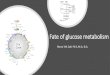 Fate of glucose metabolism - Minia · Comparison of HMP shunt and glycolysis Items HMP shunt Glycolysis Tissue distribution Tissues having active fatty acid and steroids synthesis