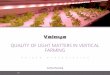QUALITY OF LIGHT MATTERS IN MULTILAYER GROWING€¦ · 10 Not only the spectrum, but also the light intensity shapes the plant and affects the morphology. The ‘Multiblond’ lettuces