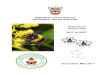 Pollinators Action Plan May 2017 - Gillingham Town Council · Bees and other pollinators are essential to food production and therefore to our lives. ... which include bees, hoverflies,