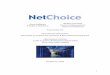 Barbara Comstock Advisor to NetChoice Presentation for …netchoice.org › wp-content › uploads › NetChoice-Testimony... · 2020-04-23 · It was as close to a no-brainer as