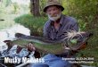 Musky Madness September 22-23-24, 2018 Northern Wisconsin · the musky-bug, particularly watching one of these fish come to a fly! I’d like to share the magic with you. To this