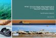 Great Barrier Reef Marine Park Authority: Synthesis Web view The Great Barrier Reef (the Reef) is the