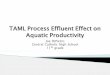 TAML Process Effluent Effect on Aquatic Productivity › extracurricular science › PJAS...Effects of TAML effluent on aquatic productivity 0.0 2.0 4.0 6.0 8.0 10.0 12.0 14.0 16.0