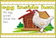 chickens - Instant Display Teaching Resources · chickens are called roosters, female chickens are called hens. The chick grows into an adult chicken. Male chickens are called roosters,