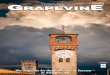 March 2019 GGRRAAPPEEVVIINN TUSCANY’S EE - lucca grapevine · 2019-03-04 · 2 Tuscany’s G RAPEVINE Magazine March 2019 P O O L C O N S T R U C T I O N P O O L M A I N T E N A