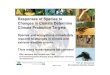Responses of Species to Changes in Climate Determine ...stabilisation.metoffice.com/day1/leemans.pdf · Changes in Climate Determine Climate Protection Targets Species and ecosystems