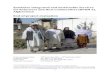 Kandahar Integrated and Sustainable Services for …...1 Kandahar Integrated and Sustainable Services for Returnees and Host Communities (BPRM 3), Afghanistan End of project evaluation