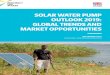 SOLAR WATER PUMP OUTLOOK 2019: GLOBAL TRENDS AND MARKET OPPORTUNITIES · 2019-09-27 · GLOBAL TRENDS AND MARKET OPPORTUNITIES SEPTEMBER 2019 EFFICIENCY FOR ACCESS COALITION PHOTO