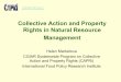 Collective Action and Property Rights in Natural Resource ... · • The Systemwide Program on Collective Action and Property Rights (CAPRi) is an inter-center initiative involving
