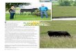 Chris Cadle, fifth-generation rancher, carries the family ... 08.13.pdf · o be successful, you don’t have to reinvent the wheel. However, improvements, like adding spokes to a