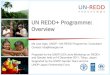UN REDD+ Programme: Overview - UNDP€¦ · safeguard system according to its country circumstances: –Identifying which additional safeguards it wants to have •Eg changes in land