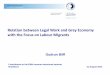 Relation between Legal Work and Grey Economy with the ...€¦ · Relation between Legal Work and Grey Economy with the Focus on Labour Migrants Contribution to the EMN summer eductional
