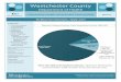 Westchester County · 2018-10-23 · Westchester County residents with incidence peaking in July (45.8%). Babesiosis is a rare, sometimes severe, disease primarily caused by the bite