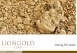 Going for Gold - Investor Relations: Investor & Medialiongoldcorp.listedcompany.com/misc/slides_300113.pdfJanuary 2013 14 Optimise Funding : Projects - Maximise Growth, Protect Shareholders