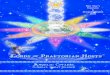 New Year’s Conclave 2016 - Ascended Master Teachingstempleofthepresence.org/pdf/LordsofPraetorianHost...New Year’s Conclave 2016 The Nature and Service of the Archangels and Angels