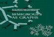 Semigroup as Graphs - University of New Mexicofs.unm.edu/SemigroupsAsGraphs.pdf · In chapter three we study the unit graphs of semigroups. The unit graphs of the semigroups Zn and