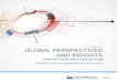 Issue 8 GLOBAL PERSPECTIVES AND INSIGHTS · 2017-11-21 · Global Perspectives: Internal Audit and External Audit globaliia.org 4 Functions an opinion whether financial statements