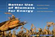Position Paper of Biomass - IEA Bioenergy · Better Use of Biomass for Energy: Key Messages 3 Bioenergy: the Good, the Bad and the Better 5 Biomass: Today – and Tomorrow 5 Better