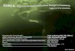 A very-non-formal presentationpeople.seas.harvard.edu/~swofsy/BARCA/kenia-draft.pdf · A very-non-formal presentation Kenia T. Wiedemann Nephelometer (3 wavelength) Light scattering