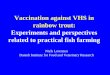 Vaccination against VHS in rainbow trout: Experiments and perspectives related … · 2019-09-20 · rainbow trout: Experiments and perspectives related to practical fish farming