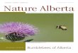 CELEBRATING OUR NATURAL HERITAGE - Nature Albertanaturealberta.ca › wp-content › uploads › 2013 › 02 › NA... · ought to know is false, inaccurate, or misleading. Finally,