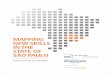 MAPPING NEW SKILLS IN THE STATE OF SÃO PAULO€¦ · 4 | MAPPING NEW SKILLS IN THE STATE OF SÃO PAULO In Brazil, where labor productivity is lower than many other South American