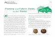 Pantry and Fabric Pests in the Home - Texas A&M AgriLife · 2017-06-26 · Controlling pantry pests Nonchemical control. The first step in controlling pantry pests is to find and