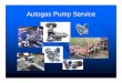 Autogas Pump Service - CORKEN · Autogas Pump Service The pump has grease fittings that must be periodically lubricated. If the pump operates frequently or continuously, it should