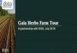 Gaia Herbs Farm Tour - Organic Growers School€¦ · On June 27th, 2017 2,000 Ashwagandha (Withania somnifera) seedlings were donated by Gaia Herbs Inc. to the WNC Medicinal Herb