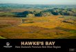 HAWKE’S BAYhawkesbaywine.co.nz/images/memberspdf/Downloads/... · To produce the premium and fine wines within Hawke’s Bay, vineyard crop levels have been aligned to desired market