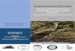 PLEASE DO NOT DISTURB! - Cornwall Seal Group€¦ · PLEASE DO NOT DISTURB! The growing threat of seal disturbance in the United Kingdom: Case studies from around the British coast