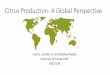 Citrus Production- A Global Perspective...2013/14 2014/15 2015/16 2016/17 Jan2017/18 Jul2017/18 ons Years Top 5 Tangerine/Mandarin Producers China European Union Turkey Morocco Japan