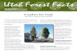 Conifers for Utah - Forestry | USU · Conifers for Utah Mike Kuhns, Extension Forestry Specialist Urban/Community Forestry NR/FF/015 (pr) Introduction Conifers are some of the most