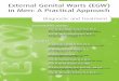 External Genital Warts (EGW) in Men: A Practical Approach · 2016-04-09 · Hirsutoid papules on the corona glandis: pearly penile papules NORMAL ASPECTS Acuminate warts on urethral