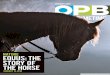 Equus: The Sto ry o f the Horseopb-imgserve-production.s3-website-us-west-2.amazonaws.com/...Private Investigators O Brave New World. An oddball couple investigates crime. | OPB+ Movie