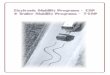 ESP - how it works€¦ · Volkswagen: Electronic Stability Program (ESP). Volvo: Dynamic Stability Traction Control (DTSC). The principal of ESP I have made a short algorithm here