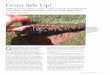 Green Side Up! Green Side Up! Sodding putting greens can be aviable method of establishment with proper care, good product, and reasonable expectations. BY MATT NELSON Given the option,