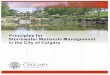 072109-Principals for Stormwater Wetlands ManagemePrinciples for Stormwater Wetlands Management in the City of Calgary 072109-Principals_for_Stormwater_Wetlands_Management.doc Page