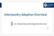 Intercountry Adoption Overview - USCIS › sites › default › files › USCIS › Resources › Res… · th birthday (or 18 th birthday for qualifying natural sibling) • 2 years