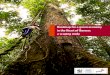 Roadmap for a green economy in the Heart of Borneo: a ... › downloads › pwc_report_gre… · Malaysia and Brunei Darussalam 25 Natural capital in the Heart of Borneo 28 Forests