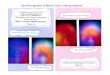 Aura Photographs of Mental Colour Healing Sessions In 2002 ... · Aura Photographs of Mental Colour Healing Sessions In 2002 we experimented with AURA PHOTOGRAPHY. We wanted to see