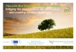 The new Bio-based Industries Initiative Zagreb 16 March 2… · Accelerate the innovation and market-uptake of bio-based products and to position Europe as a world-leading, competitive