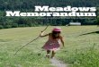 Meadows Memorandum* - Wellbeing Economy Alliance › wp-content › uploads › ... · An economy that serves itself and the .01%, at the expense of life; ... business leaders, civil