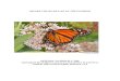 PETITION TO PROTECT THE MONARCH BUTTERFLY (DANAUS … · 2019-02-27 · Monarch ESA Petition 6 EXECUTIVE SUMMARY The monarch is an iconic large orange and black butterfly that is