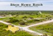 Black Hawk Ranch · Black Hawk Ranch has a gated entrance leading to miles of good interior ranch roads. The ranch is primarily low fenced with brand new galvanized high fencing on