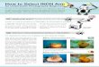 for Underwater Photography Beginners - INON for Underwater Photography Beginners Yes, an arm is a part