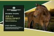 2018 4-H HORSE PROJECT · Keep your horse set and alert looking and keep showing your horse until the class is over. For additional showmanship class explanation including a description