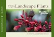 Native Adapted Landscape Plants - Texas A&M AgriLifewilliamson.agrilife.org/.../Native-and-Adaptive-Plants.pdf · 2017-12-04 · Native plants belong here; they thrive with minimal