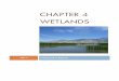 Chapter 4 Wetlands v2 - Utah Department of Environmental Quality · 2017-07-18 · CHAPTER 4 WETLANDS Page 3 Utah’s Wetlands Utah is not only the second driest state in the union,