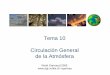 Tema 10 Circulación General de la Atmósfera › assets › files › Mares › Circulacion general... · 2016-04-28 · Preguntas / puntos claves: 1. ¿Qué le pasa a la energía